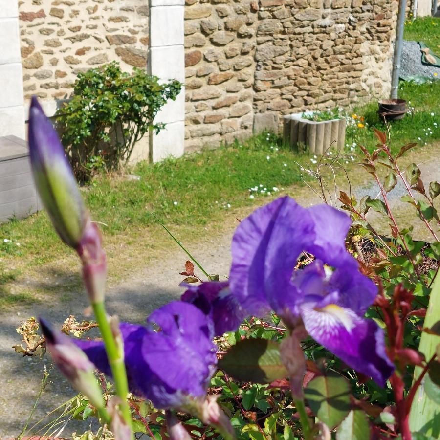 Ferienhaus La Lavandiere La Chapelle-au-Riboul